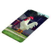 巨大な雄鶏 マグネット (左側)