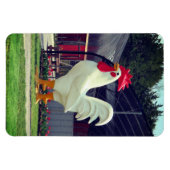 巨大な雄鶏 マグネット (横)