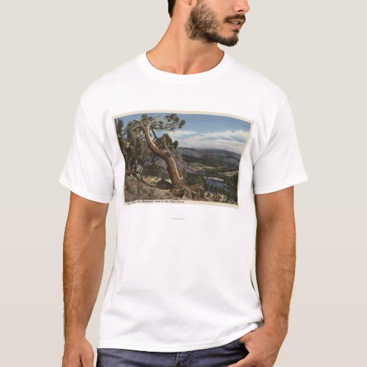 巨大な頂上の樹木限界線 Tシャツ (正面)