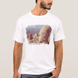 巨大な頭部およびワシの眺め Tシャツ