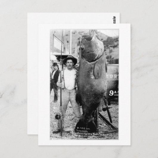 巨大な魚との男性のヴィンテージ写真 ポストカード (正面/裏面)
