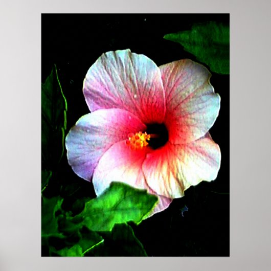 巨大な72" x 52"および52" x 72" Gicléeの芸術 ポスター (正面)