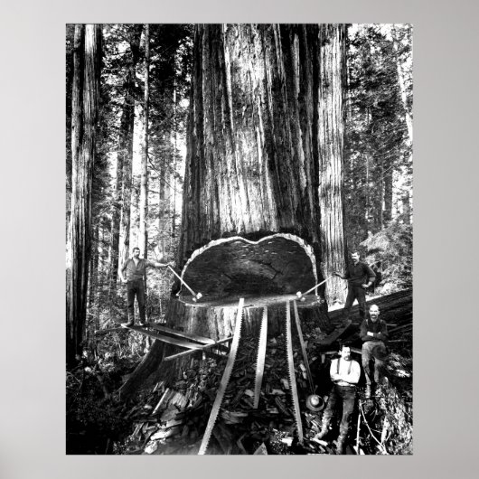 巨大なCを倒す。1890 ポスター (正面)