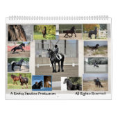 巨大なFriesianの馬のカレンダー2013 カレンダー (裏面)