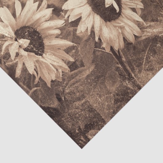 巨大ひまわりセピアフローラテクスチャのデコページ 薄葉紙 (詳細)