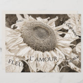 巨大ひまわりセピア茶色エフエマラ文字 (正面/裏面)