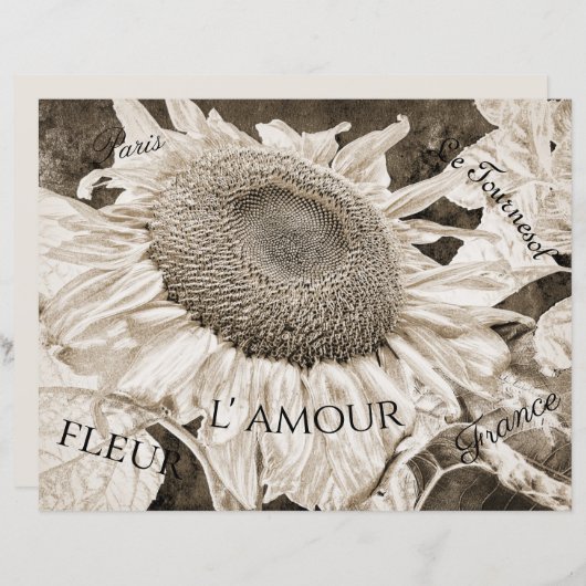 巨大ひまわりセピア茶色エフエマラ文字 (正面/裏面)