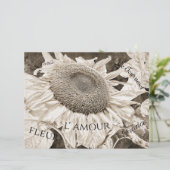 巨大ひまわりセピア茶色エフエマラ文字 (スタンド正面)