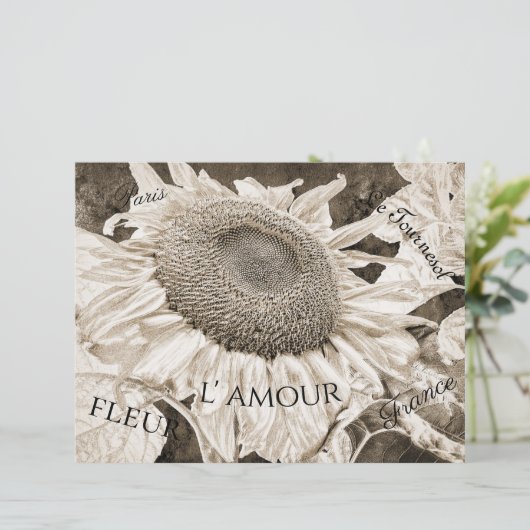 巨大ひまわりセピア茶色エフエマラ文字 (スタンド正面)