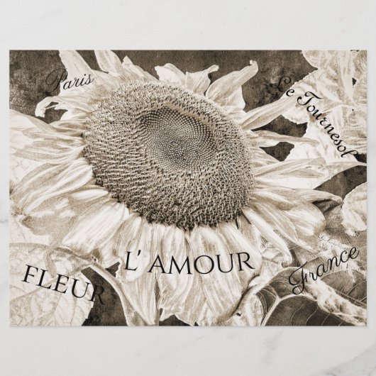 巨大ひまわりセピア茶色エフエマラ文字 (正面)