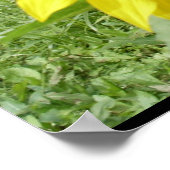 巨大ひまわりポスター ポスター (角)