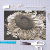 巨大ひまわり素朴セピアトーンヴィンテージ 薄葉紙 (クラフト)