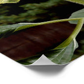 巨大ひまわり、黄色のフローラ ポスター (角)