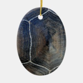 巨大べっ甲詳細ガラパゴス セラミックオーナメント