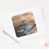 巨大べっ甲 スクエアシール (封筒)