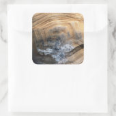 巨大べっ甲 スクエアシール (バッグ)