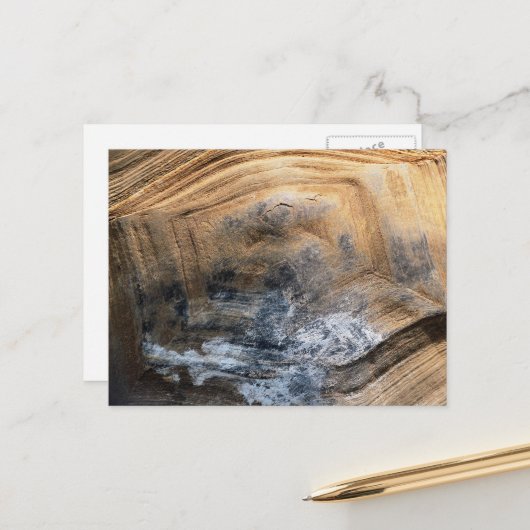 巨大べっ甲 ポストカード (正面/裏面インサイチュ)