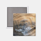 巨大べっ甲 マグネット (正面/裏面)