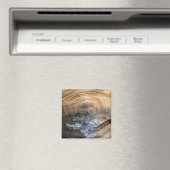 巨大べっ甲 マグネット (インサイチュ (食洗機))