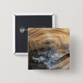 巨大べっ甲 缶バッジ (正面&裏面)