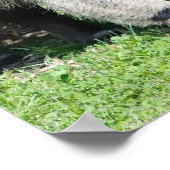 巨大アンテータポスター ポスター (角)