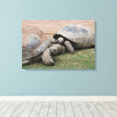 巨大カメ キャンバスプリント (インサイチュ (ウッドフロア))