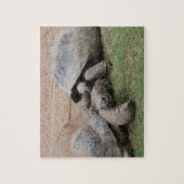 巨大カメ ジグソーパズル (縦)