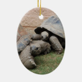 巨大カメ セラミックオーナメント (裏面)