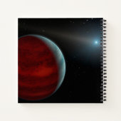 巨大ガス惑星のまわりに白い矮星。 ノートブック (裏面)