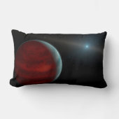 巨大ガス惑星のまわりに白い矮星。 ランバークッション (正面)