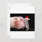 巨大キャットポーリトルクリスマスマウス シーズンポストカード (正面/裏面)