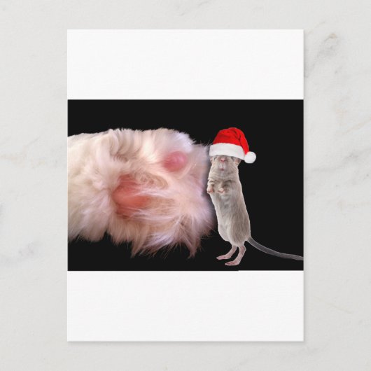 巨大キャットポーリトルクリスマスマウス シーズンポストカード (正面)