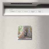 巨大クール続編マグネット！ マグネット (インサイチュ (食洗機))