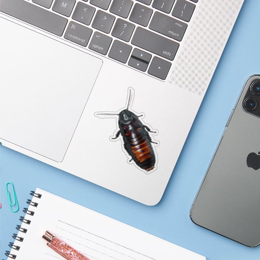 巨大ゴキブリ シール (ノートパソコンとiPhone)