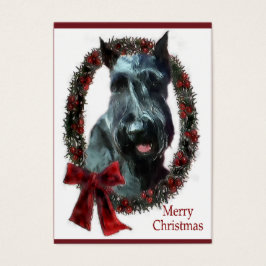 巨大シュナウザーのクリスマスプレゼント