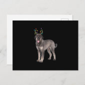 巨大シュナウザーのトナカイのクリスマスドッグの汗 案内ポストカード (正面/裏面)