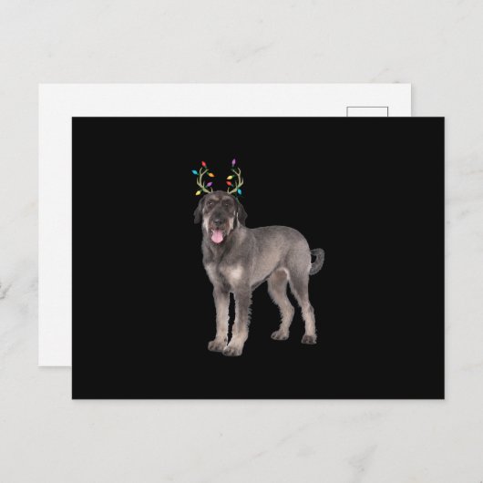 巨大シュナウザーのトナカイのクリスマスドッグの汗 案内ポストカード (正面/裏面)