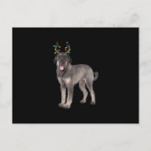 巨大シュナウザーのトナカイのクリスマスドッグの汗 案内ポストカード (正面)