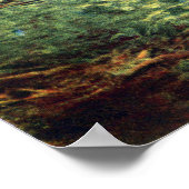 巨大セコイアのトランク ポスター (角)