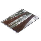 巨大セコイアの下の霧の朝と春の雪 ノートブック (左側)