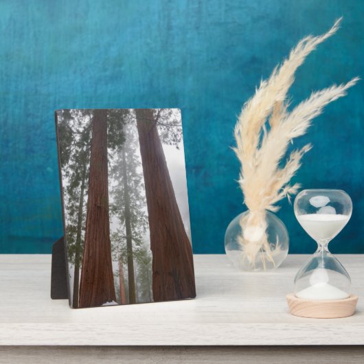 巨大セコイアの下の霧の朝と春の雪 フォトプラーク (側面)