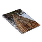 巨大セコイアの木の写真 ノートブック (右側)