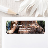 巨大セコイアの木の幹の個人住所 シール。 ラベル (インサイチュ)