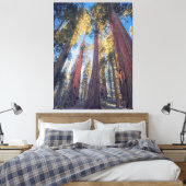 巨大セコイア樹木林の風景 キャンバスプリント (インサイチュ (寝室))