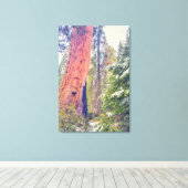 巨大セコイア キャンバスプリント (インサイチュ (ウッドフロア))