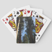 巨大セコイア トランプ (裏面)