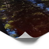 巨大セコイア ポスター (角)