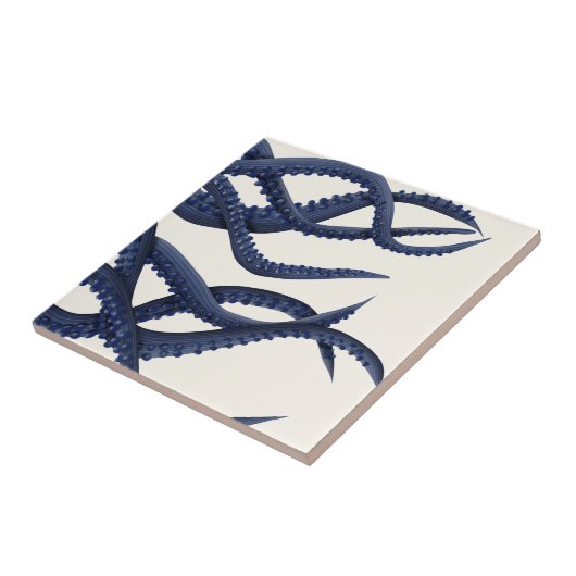 巨大タコ触手 タイル (側面)