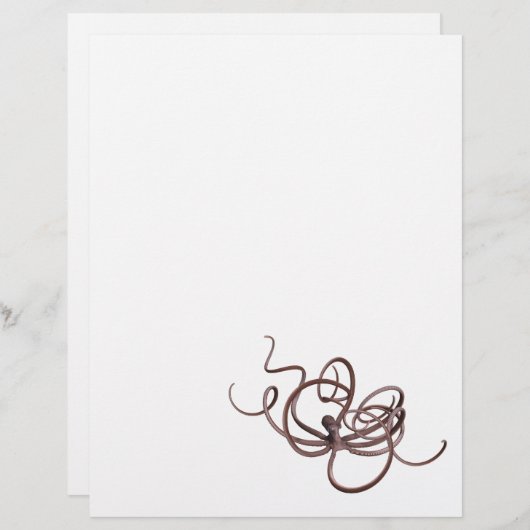 巨大タコ (正面/裏面)