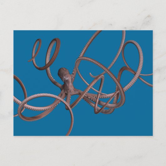 巨大タコ ポストカード (正面)